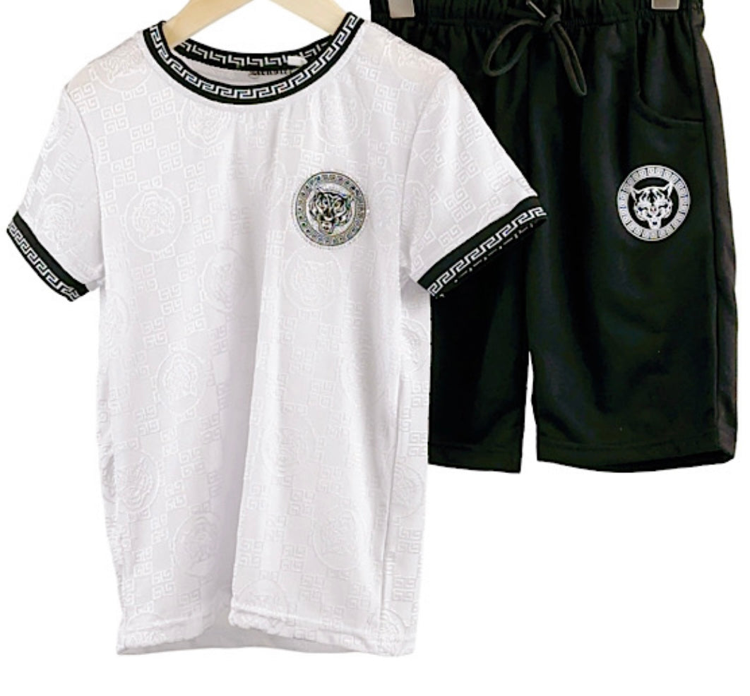 TLC Boys Small Tiger Print Tshirt & Shorts Sets