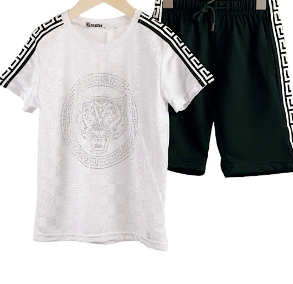 TLC Boys Tiger Print Tshirt & Shorts Sets