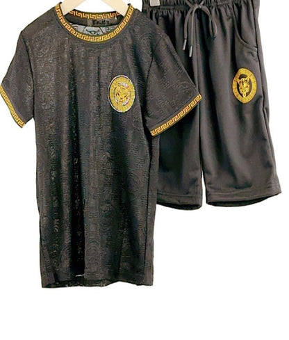 TLC Boys Small Tiger Print Tshirt & Shorts Sets