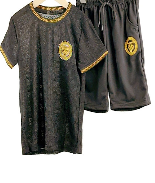 TLC Boys Small Tiger Print Tshirt & Shorts Sets (TL098)