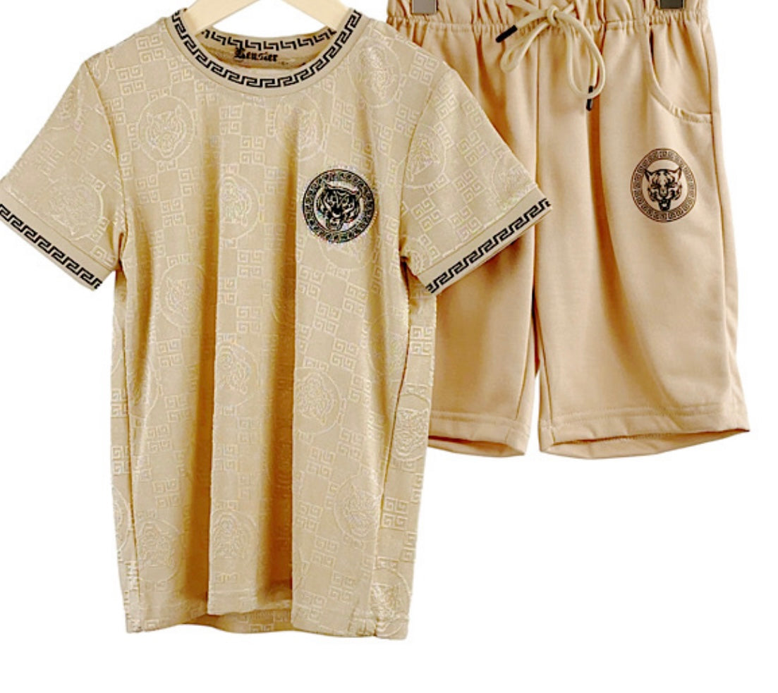 TLC Boys Small Tiger Print Tshirt & Shorts Sets