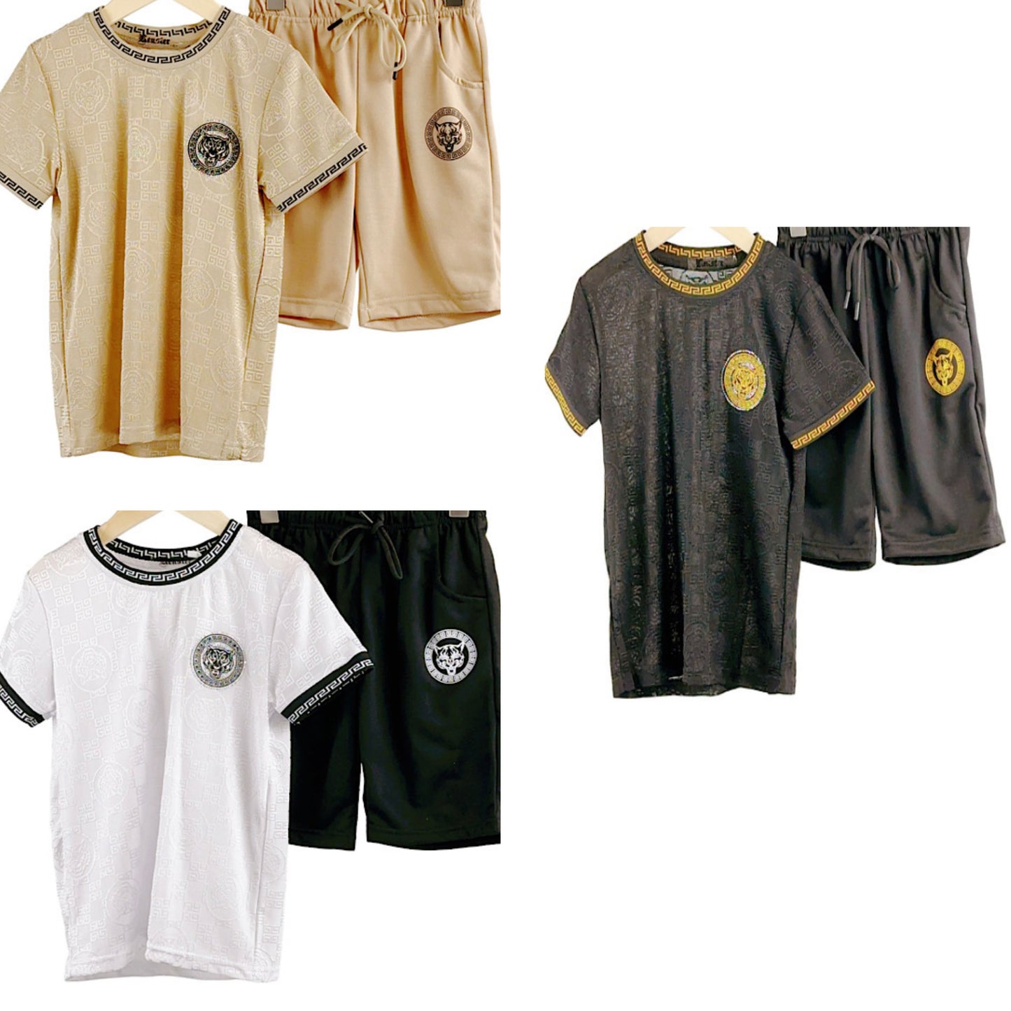 TLC Boys Small Tiger Print Tshirt & Shorts Sets