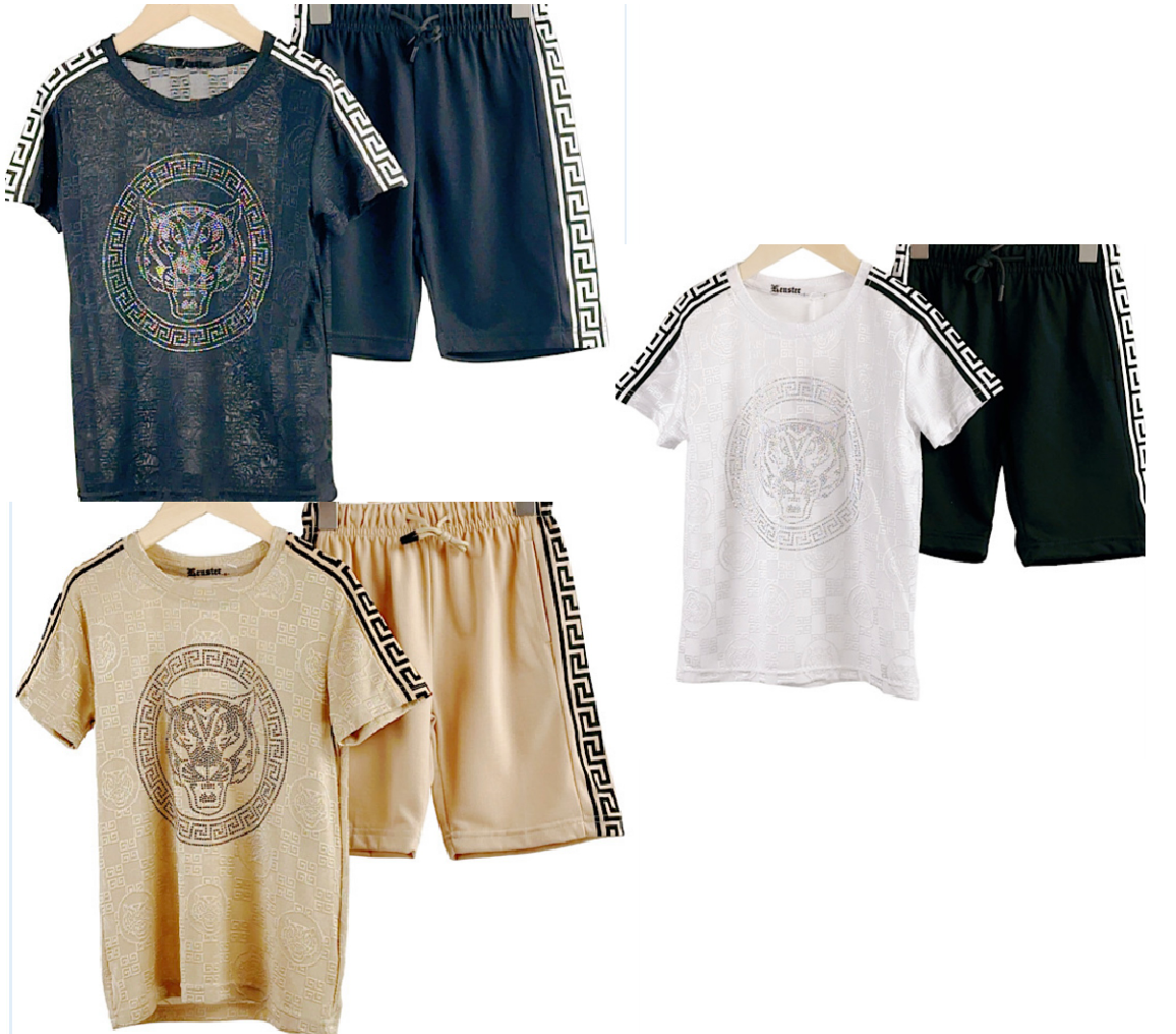 TLC Boys Tiger Print Tshirt & Shorts Sets